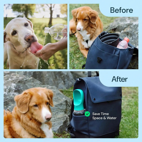 HydraPup Portable Water & Food Bottle